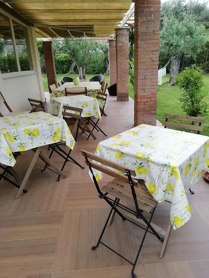 Bed&Breakfast La Zagara Querceta 0*,